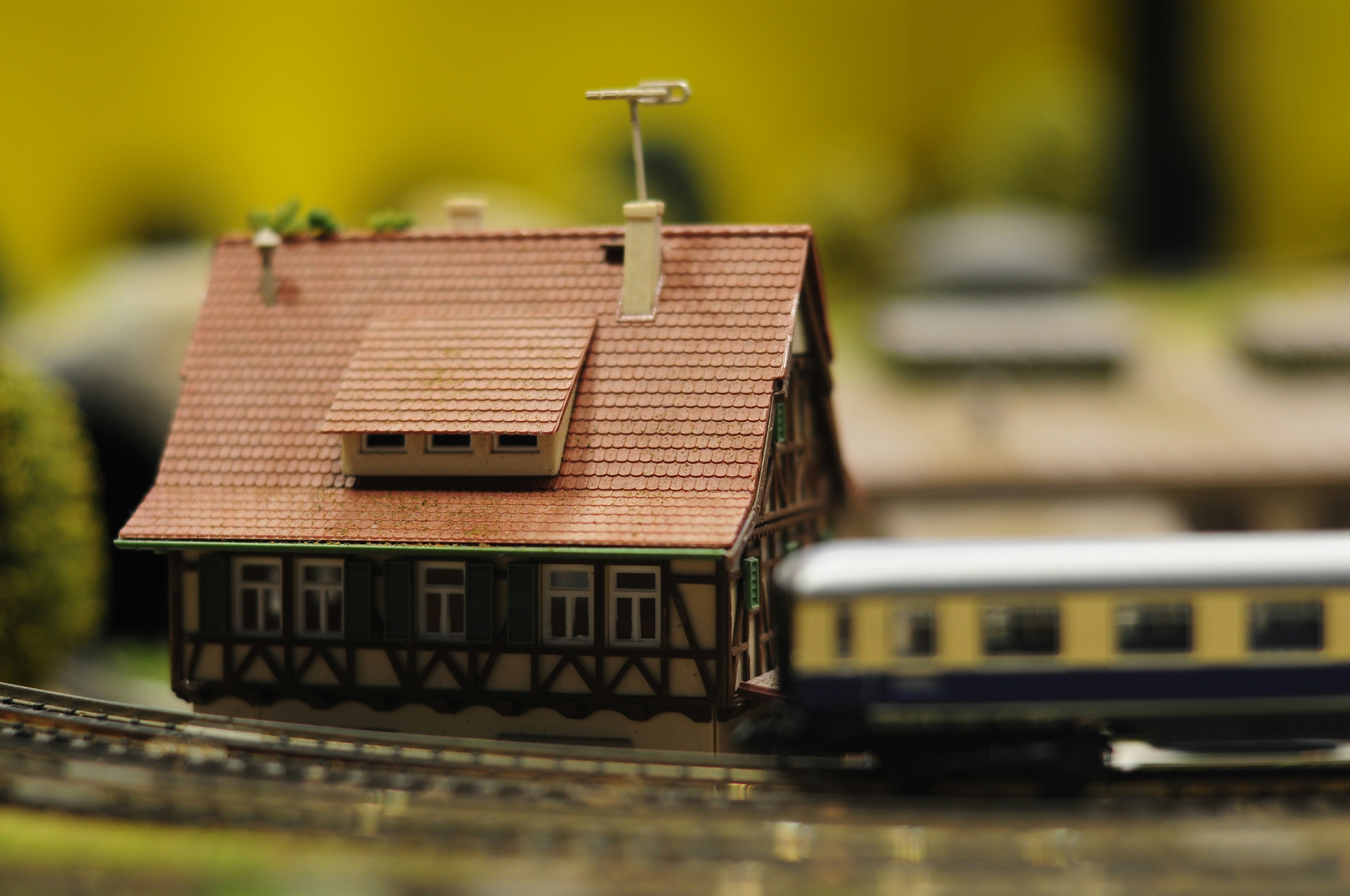 Photo by nguyenhobac