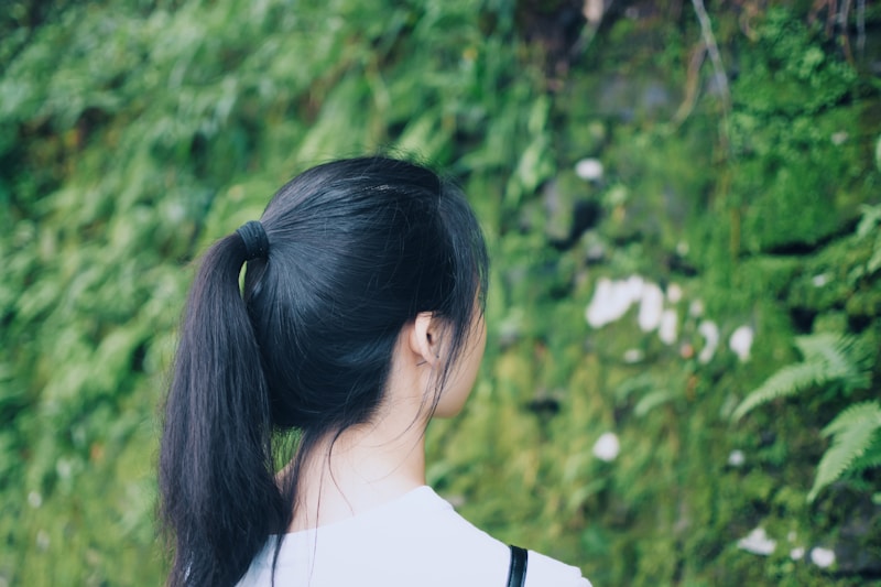 Ponytail