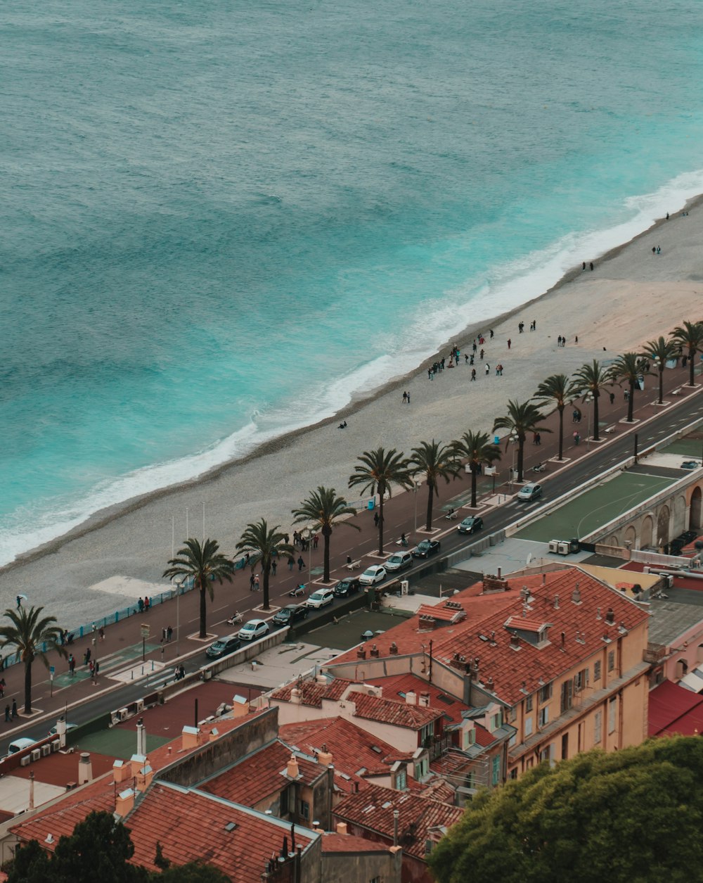 aerial photography of shore