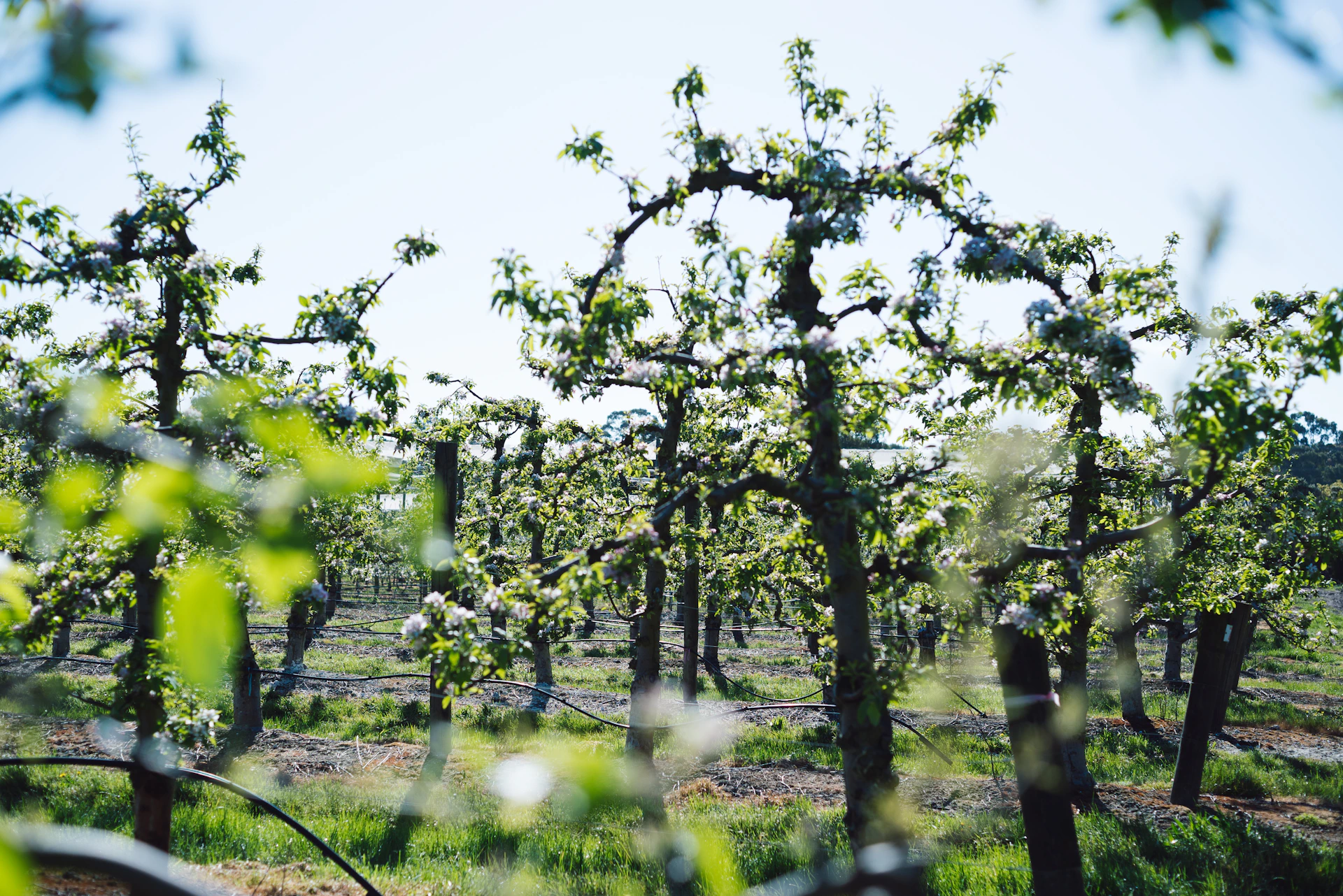 woman wearing yellow long-sleeved dress under white clouds and blue sky during daytime