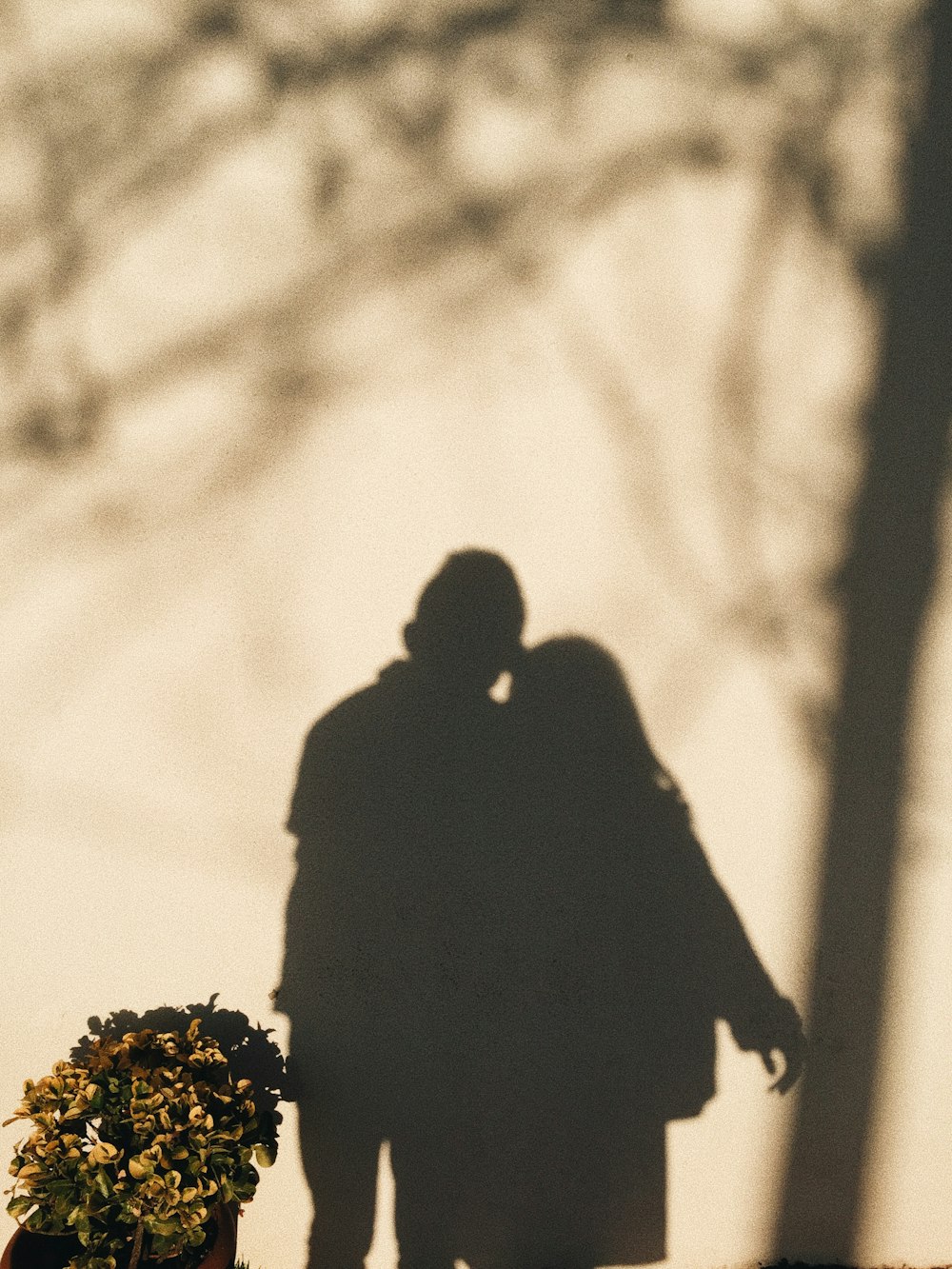 shadow of couple on wall