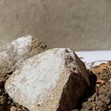 Rough-textured rocks with patches of white powdery substance on their surface are scattered on a soil bed with small twigs and dried vegetation. The background appears to be a smooth, beige surface.