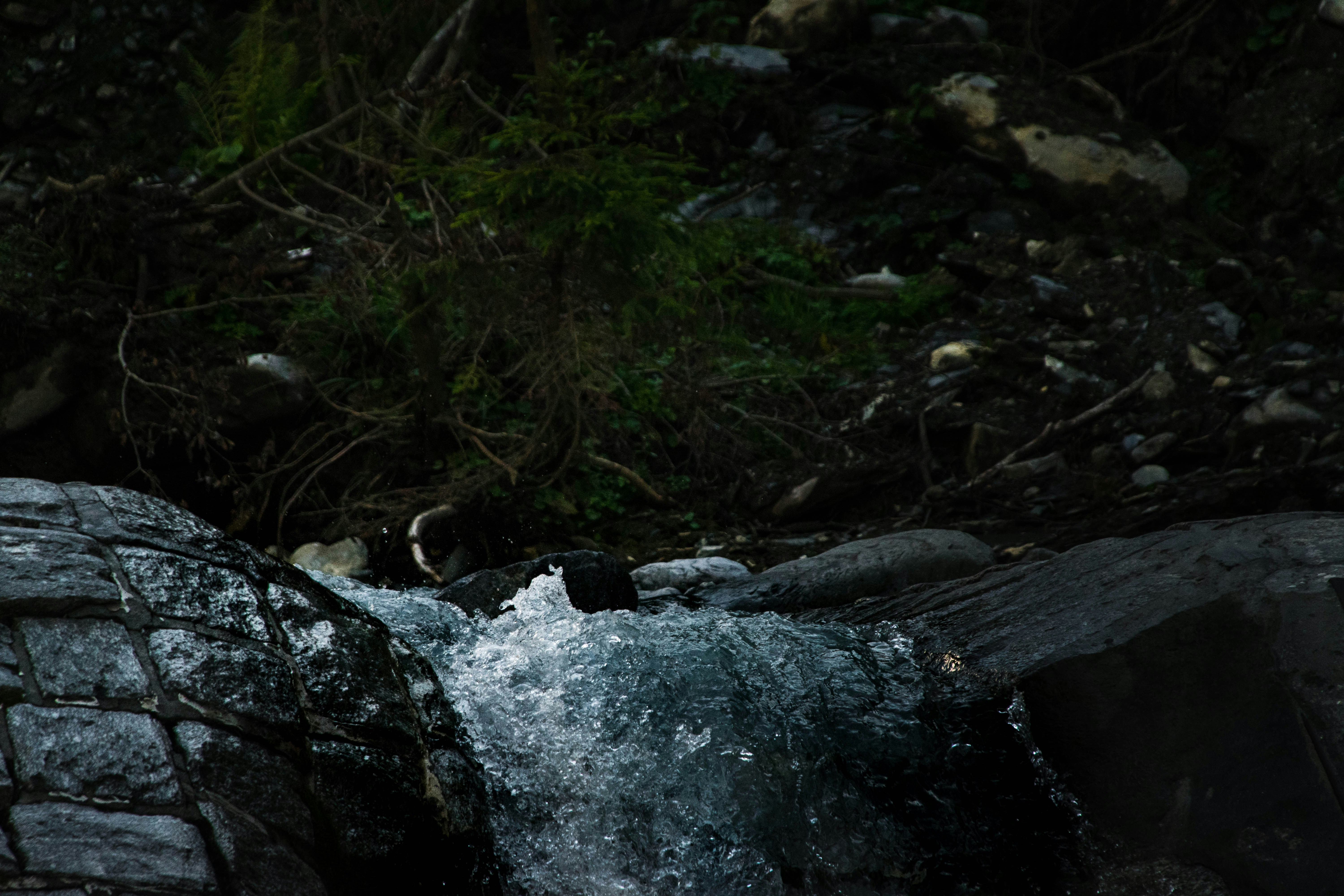Photo by virussinside