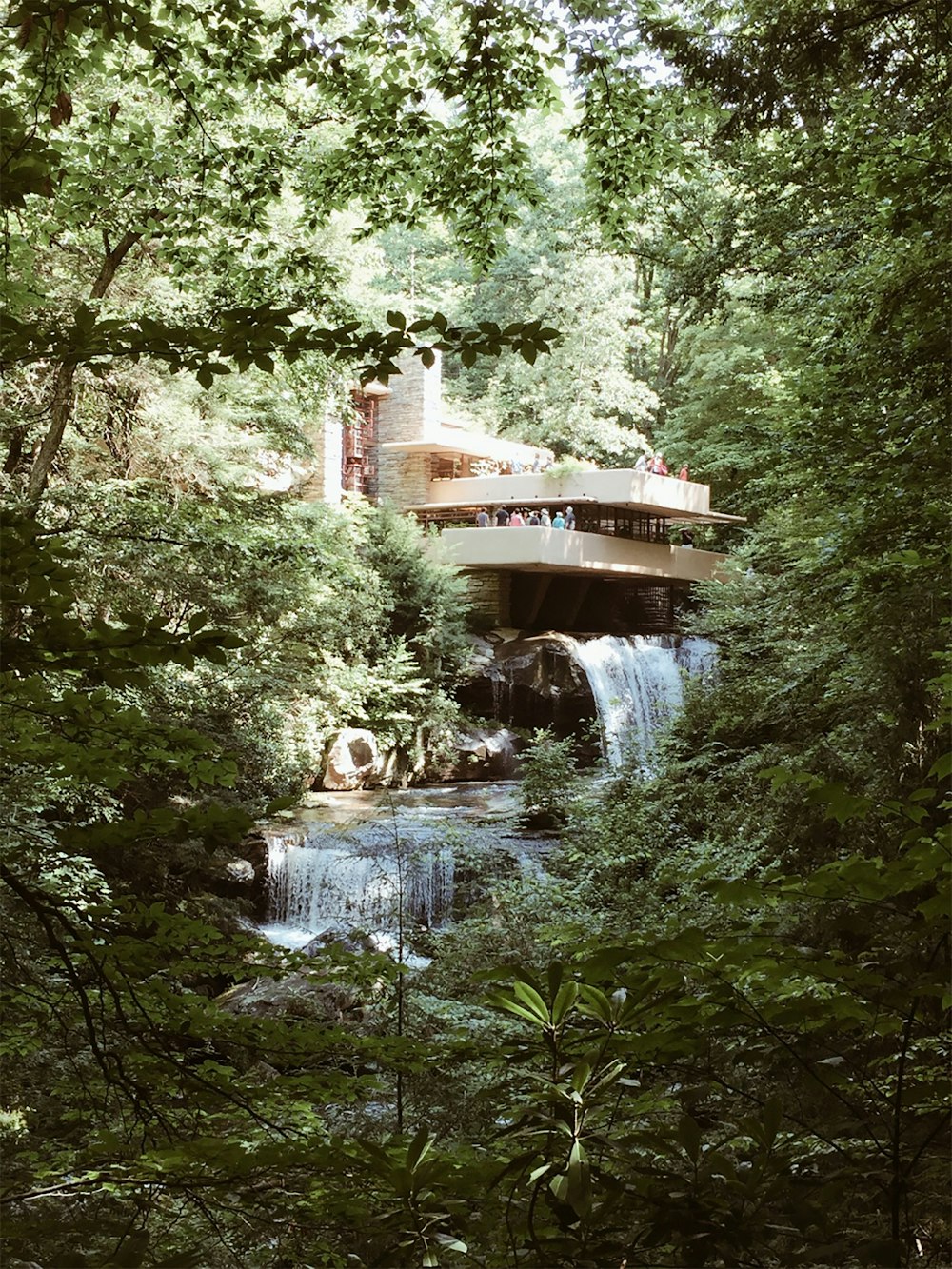 modern house near river