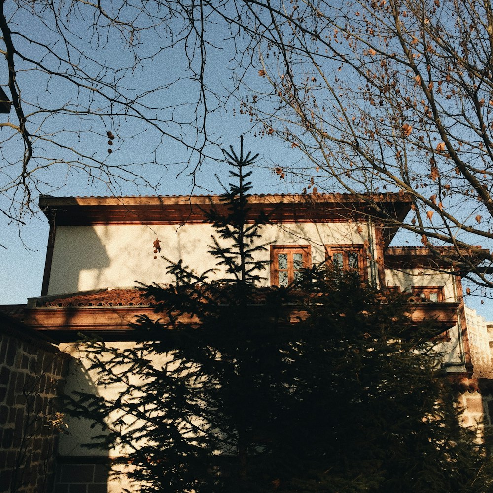 house beside trees