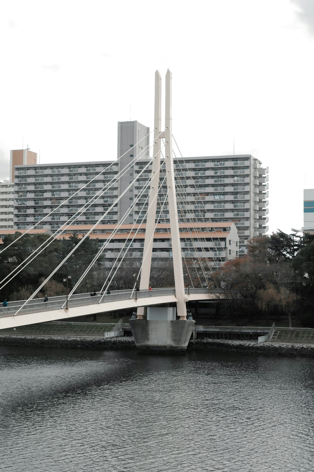 suspension bridge during daytime