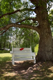 A wooden swing with a white finish and a red heart design is suspended from a sturdy tree branch in a lush, green park setting. Sunlight filters through the leaves, casting dappled shadows on the ground.