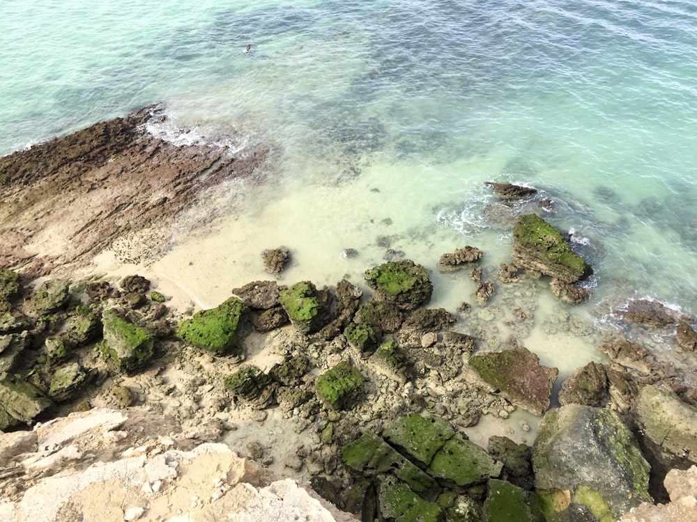 a rocky shore with green moss growing on the rocks