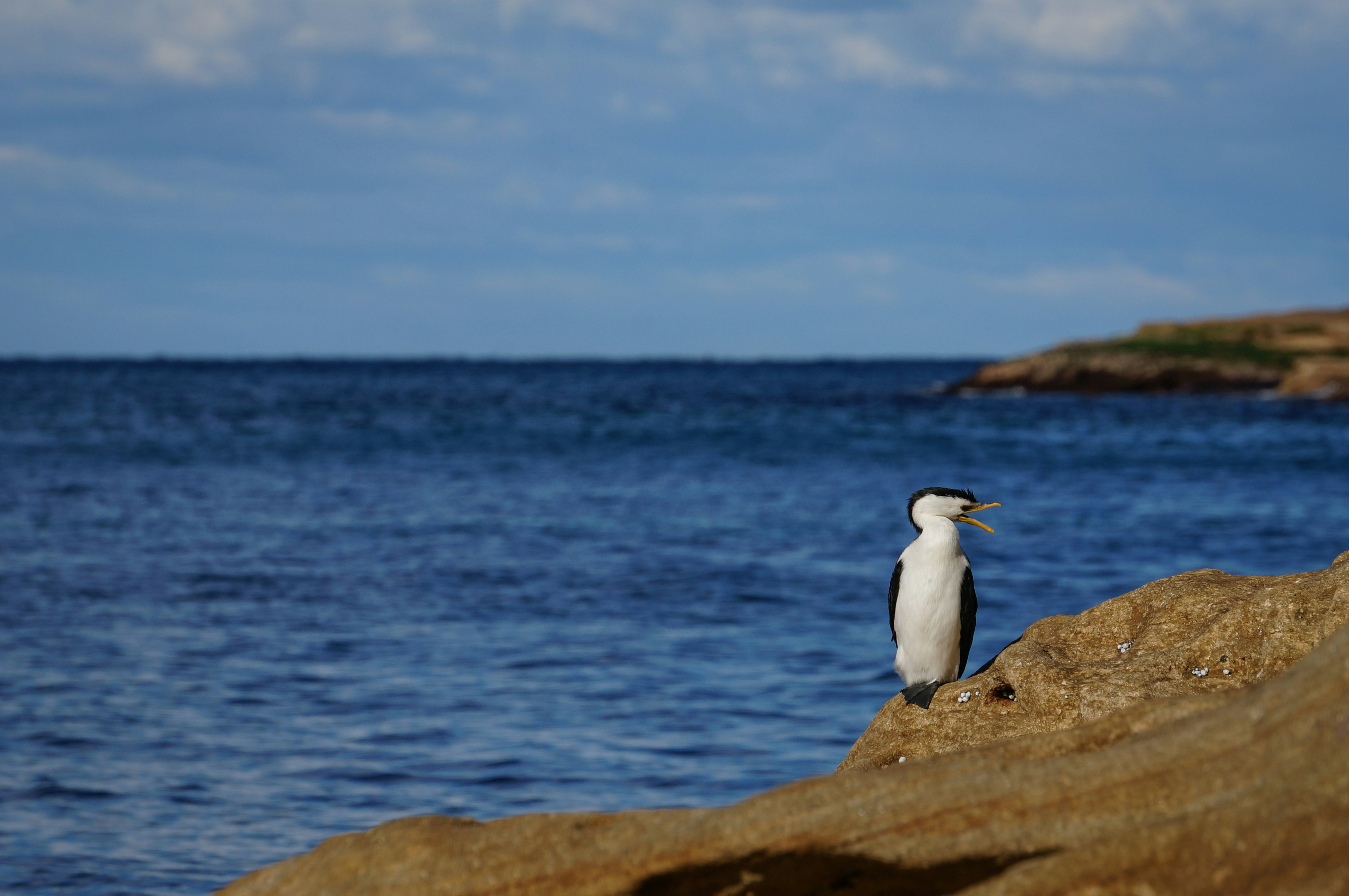 Photo by abstraction_by_alexa