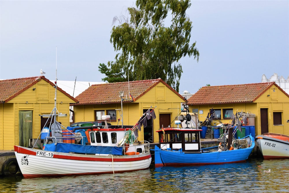 two white and blue boats