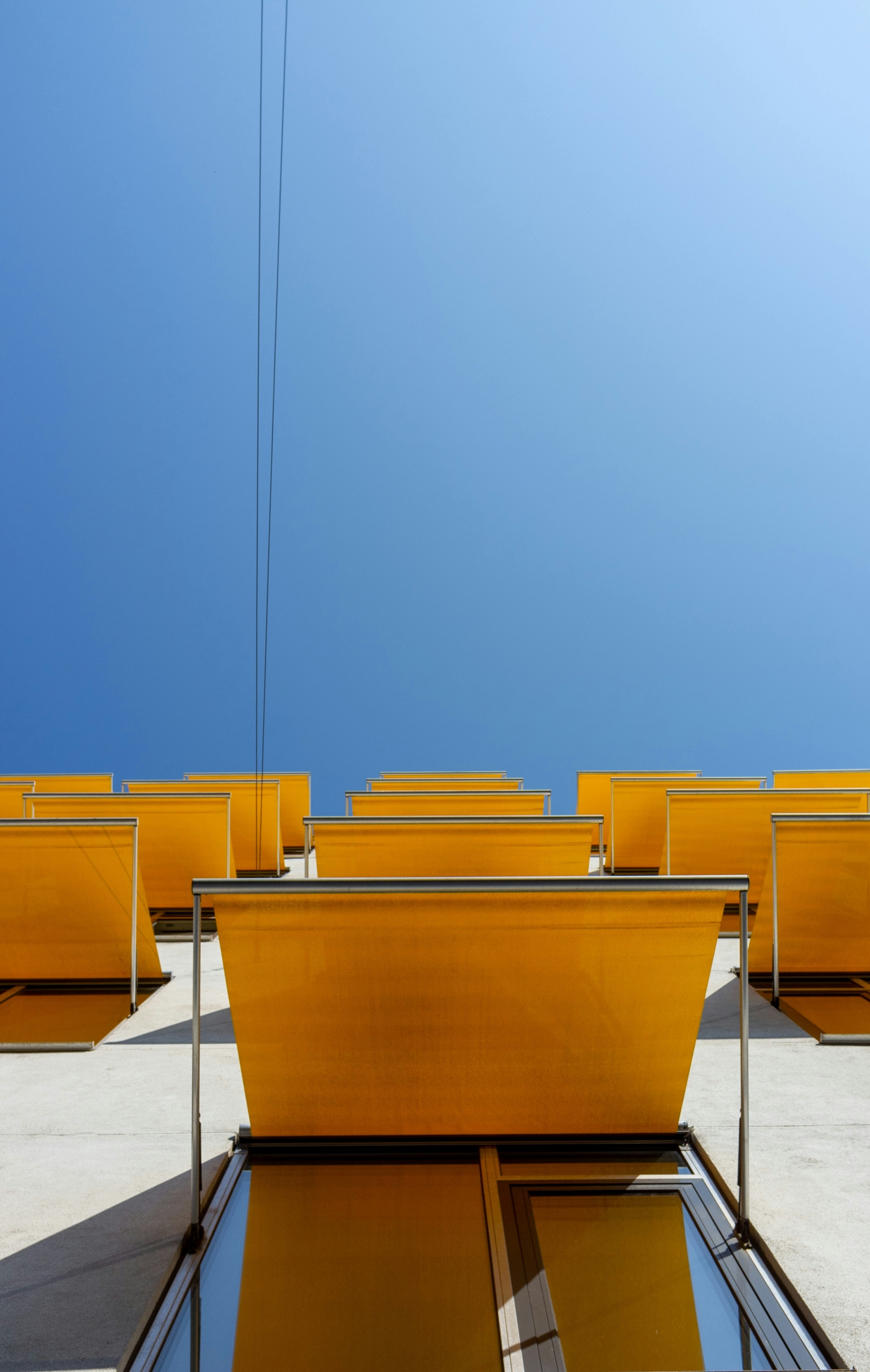 Photo by moisamihai092