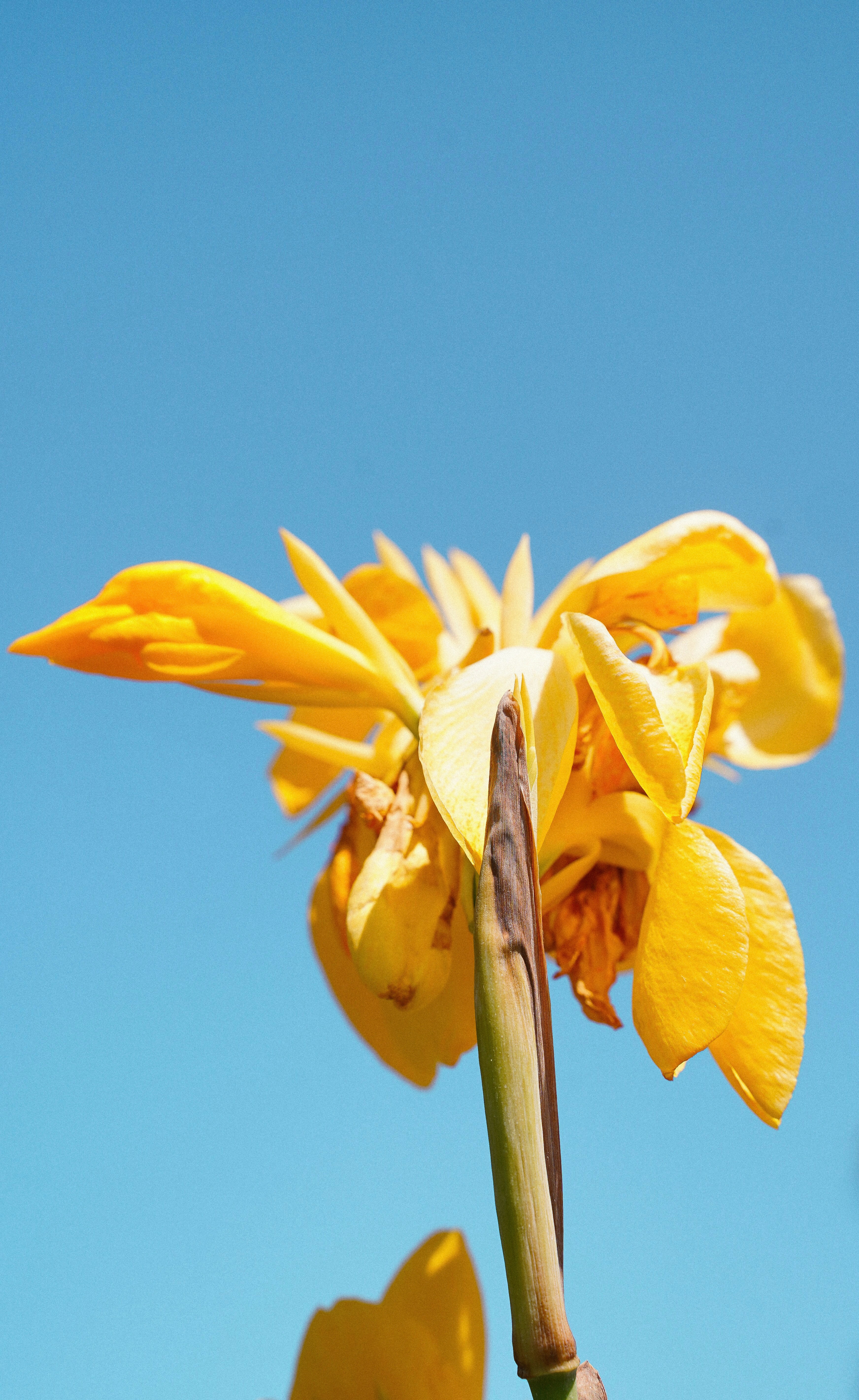 Photo by alexander_tsang