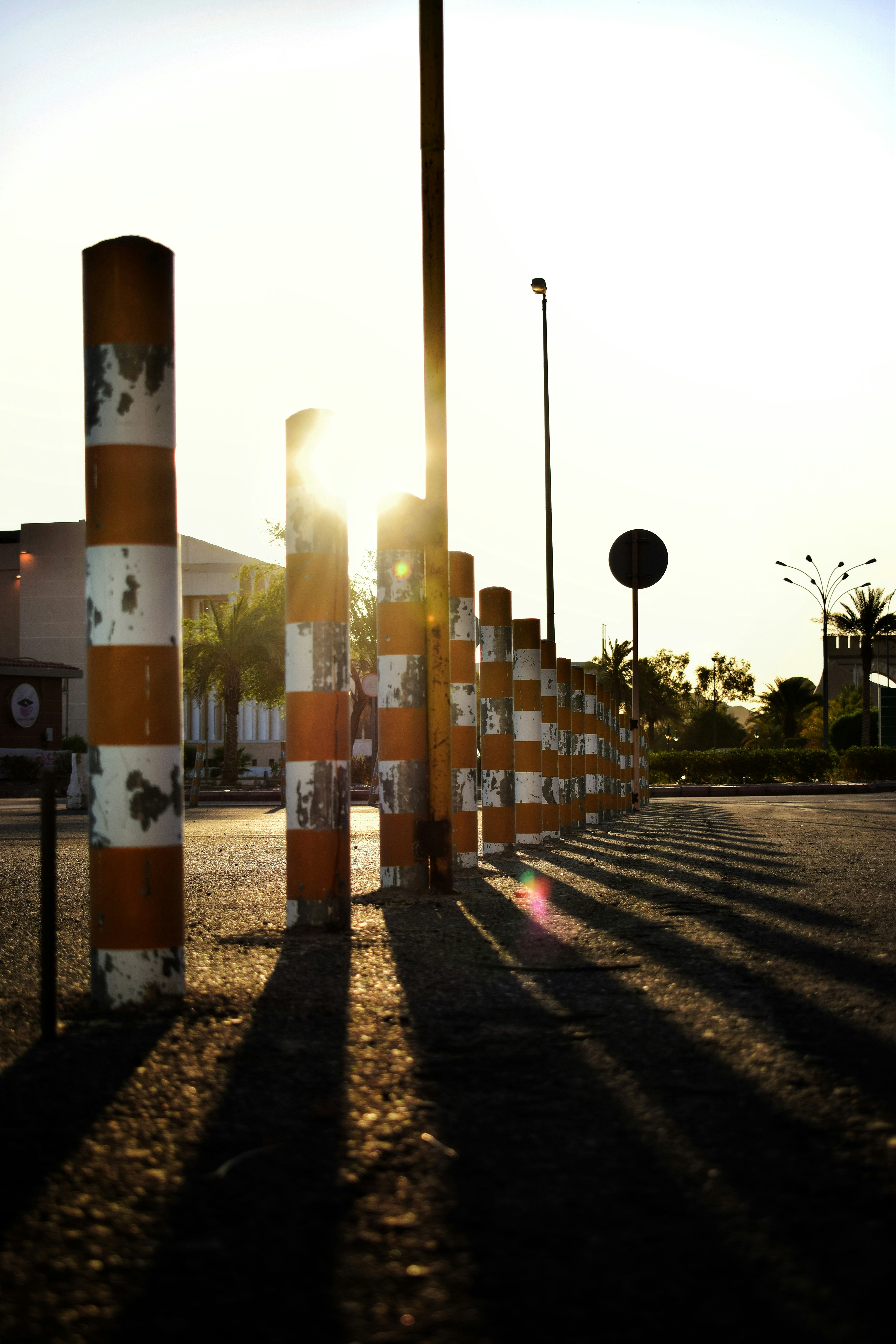 Photo by hydngallery