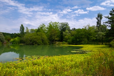 grass field and body of water impressionist zoom background