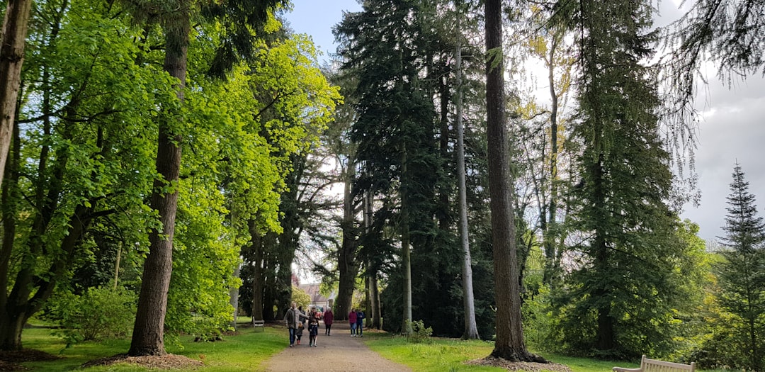 travelers stories about Forest in 1 Chemin des Forrières, France