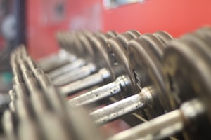 Pro Fitness Dumbbells