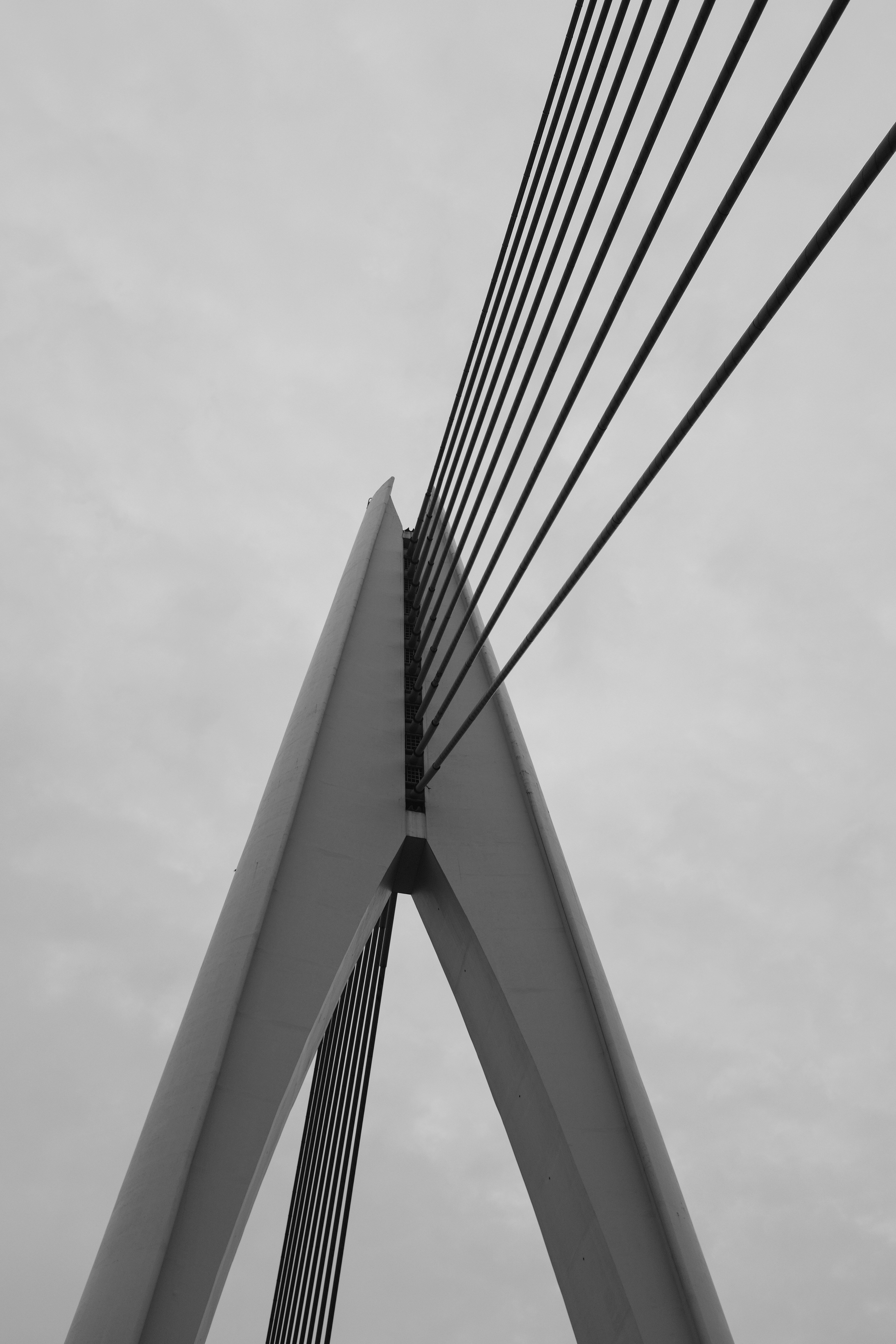 Photo by kennyzhang29