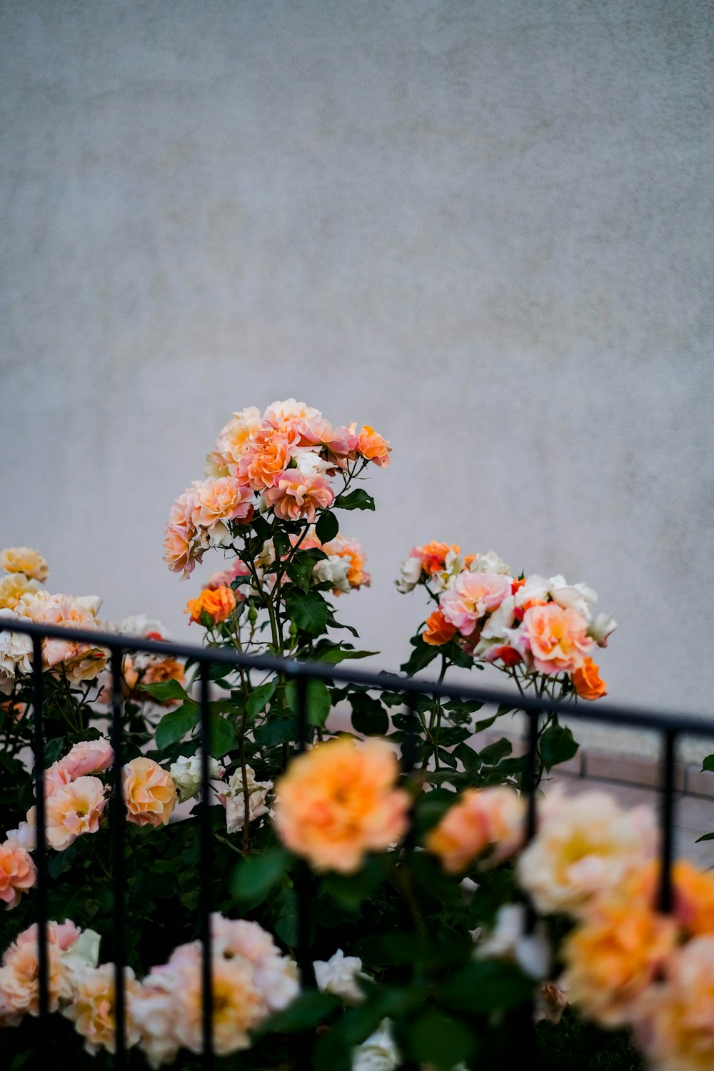 a bunch of flowers that are in a planter