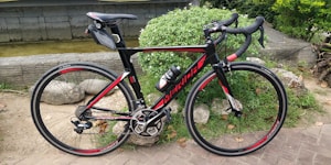 A sleek black and red road bicycle is parked on a stone path next to a lush green bush. The bike features drop handlebars, a water bottle on the frame, and thin racing tires.