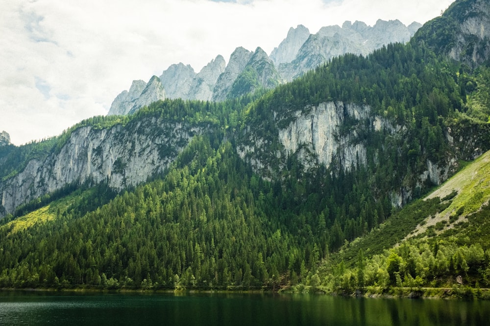 green trees on mountains