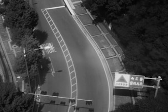 A curved road is bordered by dense trees on one side, with a crosswalk and traffic cone visible. A traffic sign with Korean text is placed prominently at the curve. The road's surface is mostly clear, with a slight shadow from nearby foliage.