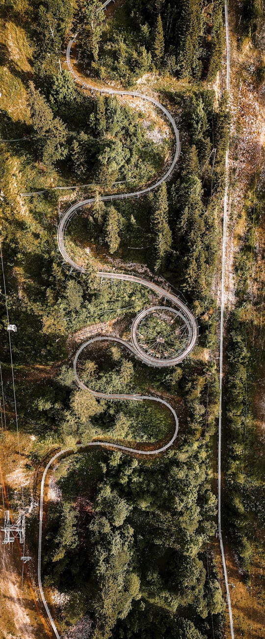 gray spiral road surrounded with tall and green trees in French Jura France