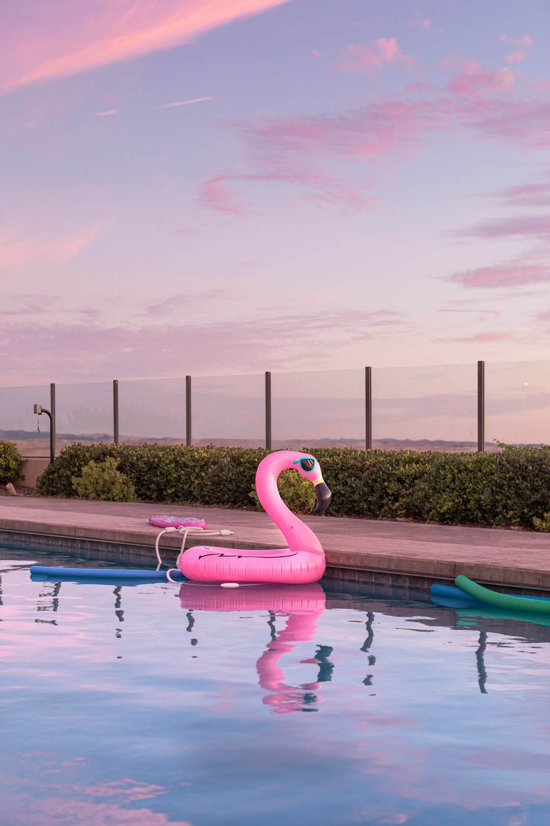 flamingo water floater in swimming pool