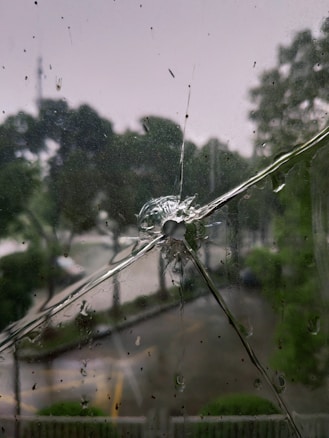A cracked glass window with a clear impact point, surrounded by radiating fracture lines. Through the glass, blurry, green foliage and a gray, overcast sky are visible.