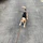 A playful beagle tugging on a colorful Village Paws rope toy in the park.