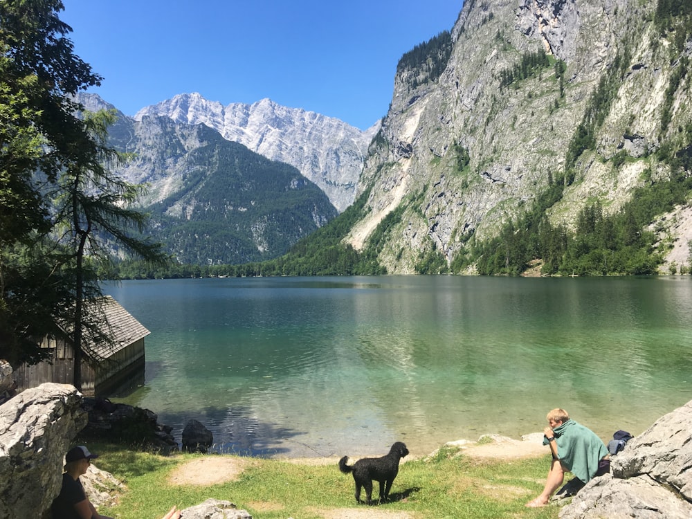 man sitting near the river