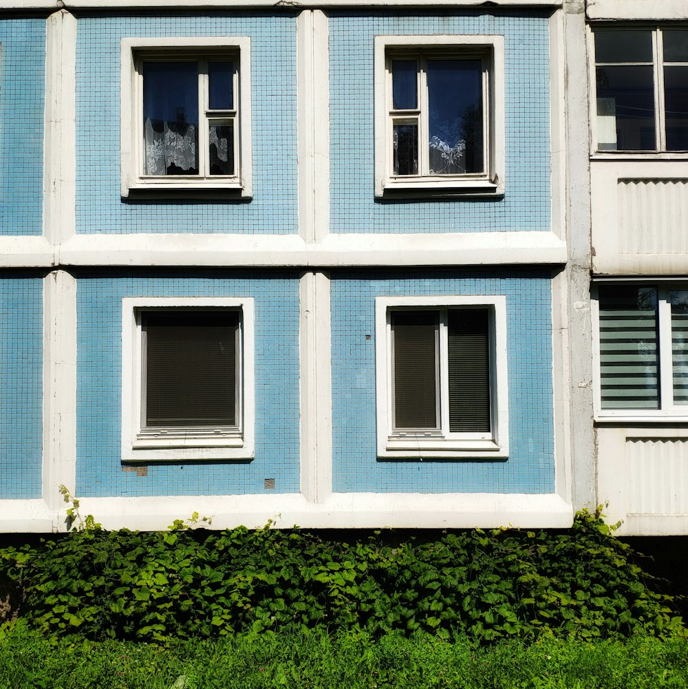 blue and white building