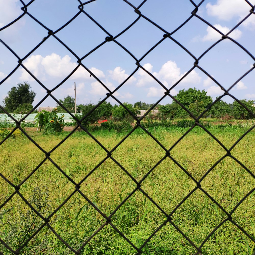 black chain-link fence