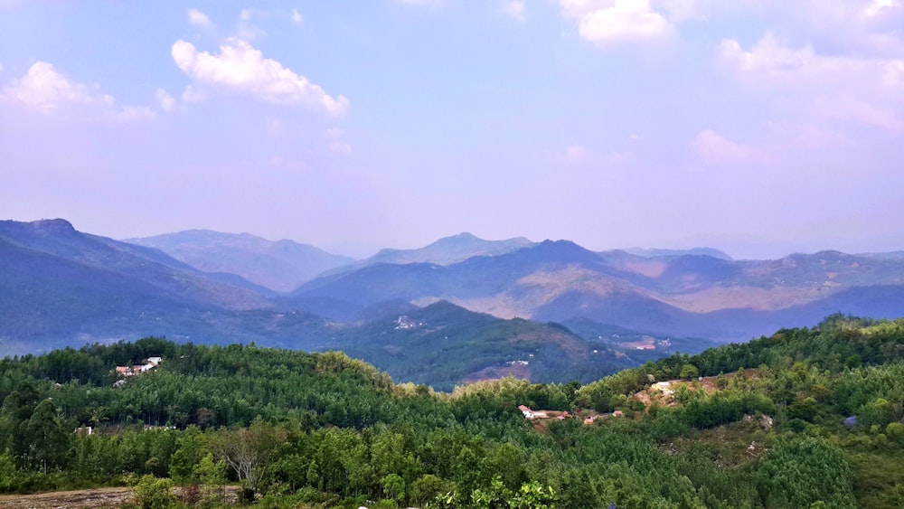 green-leafed mountains