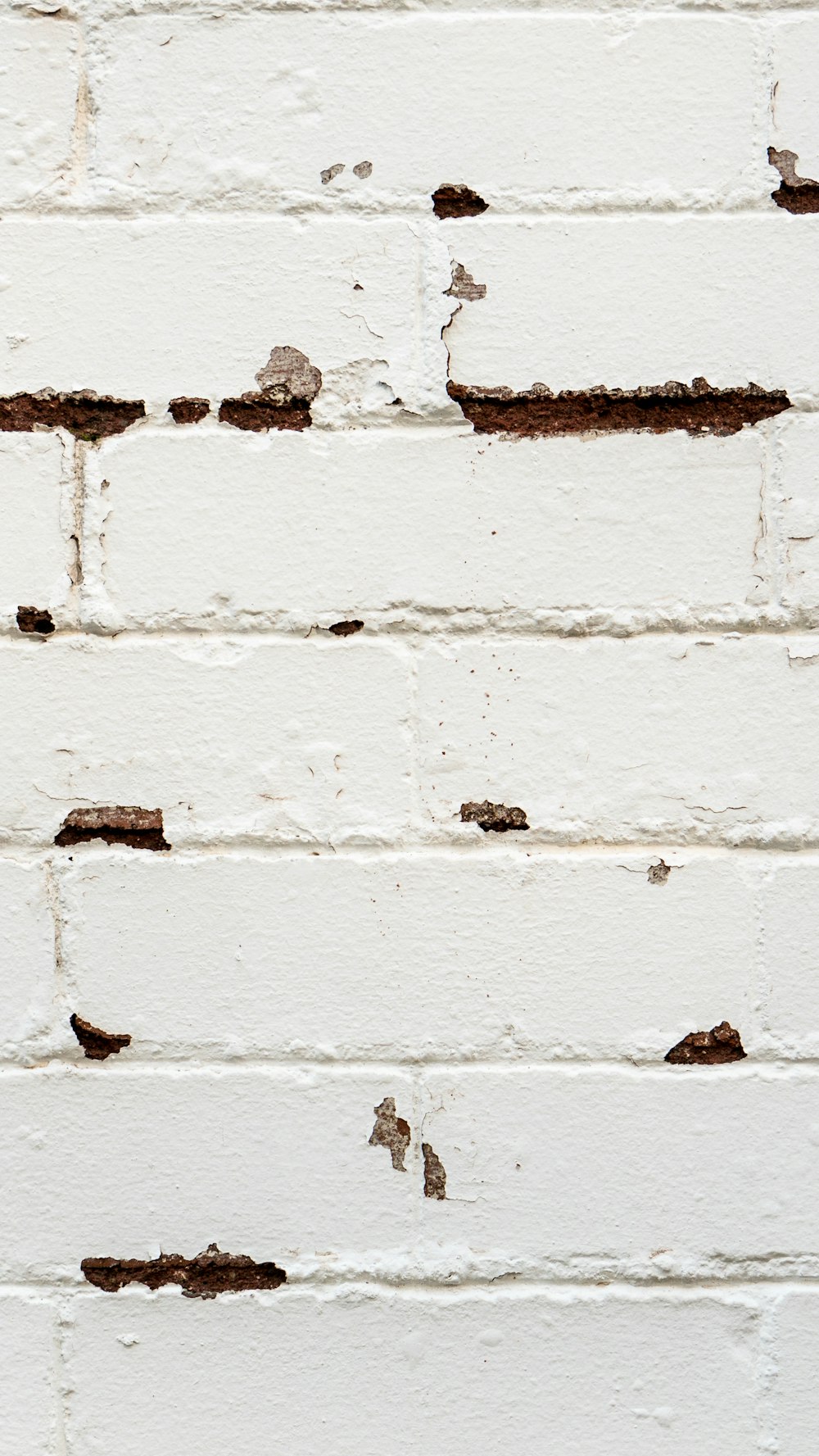 white wall brick