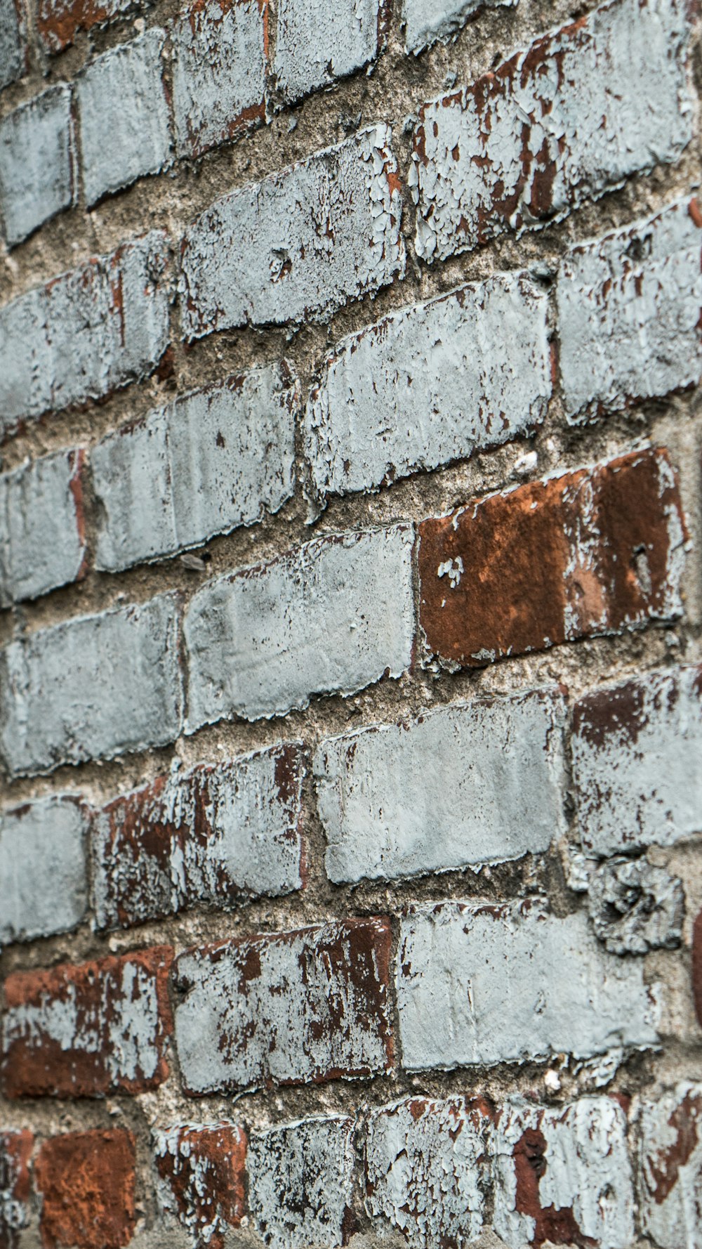 Muro de hormigón gris y marrón