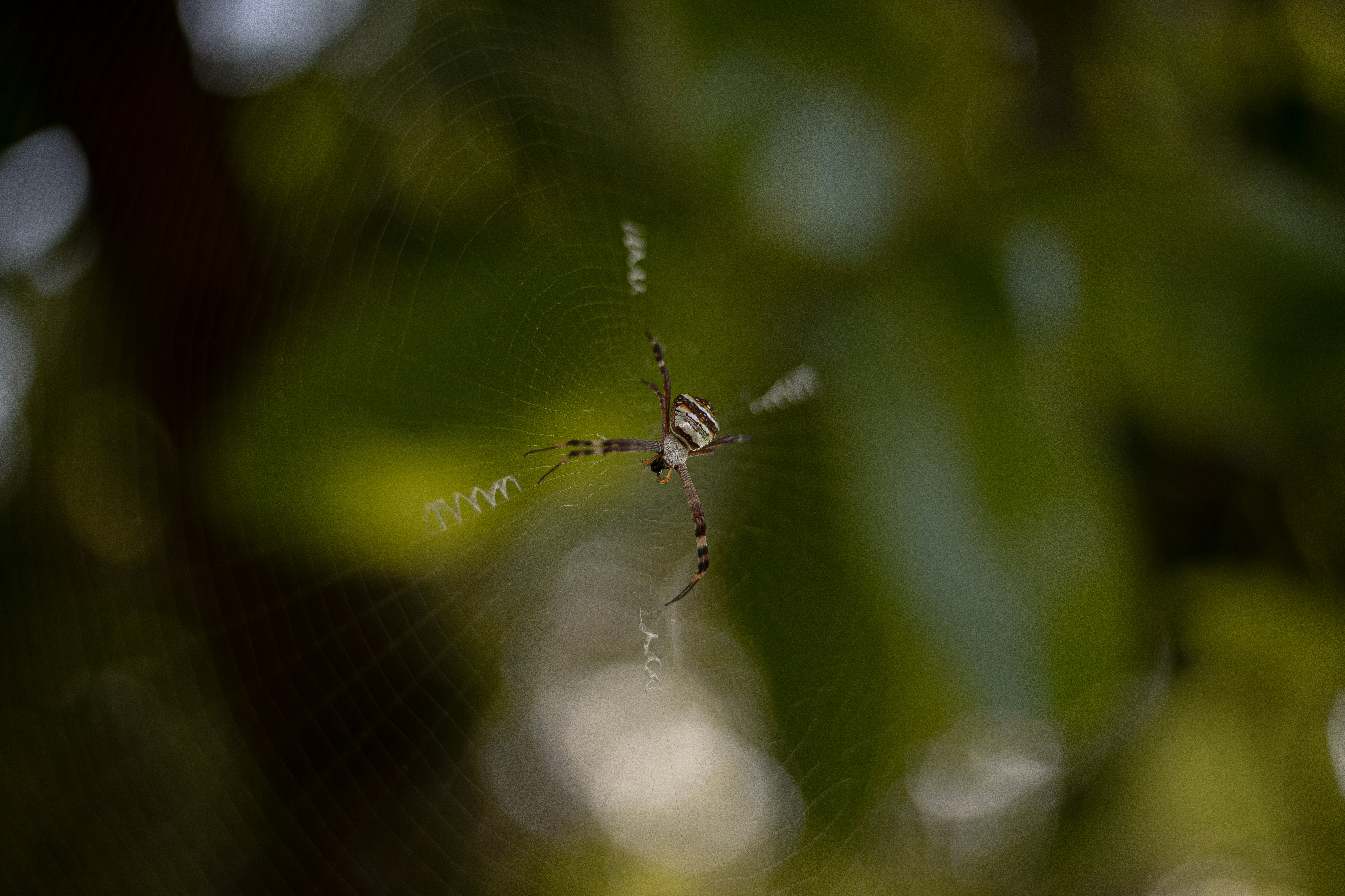 Photo by maahidphotos