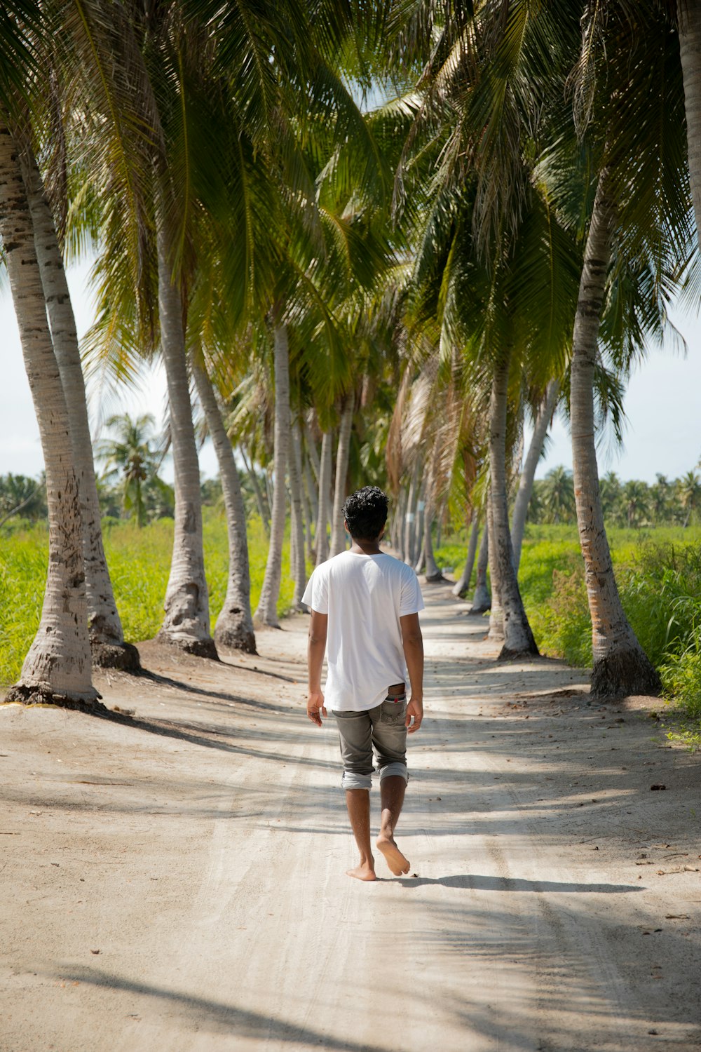 코코넛 나무 사이의 오솔길을 걷는 남자