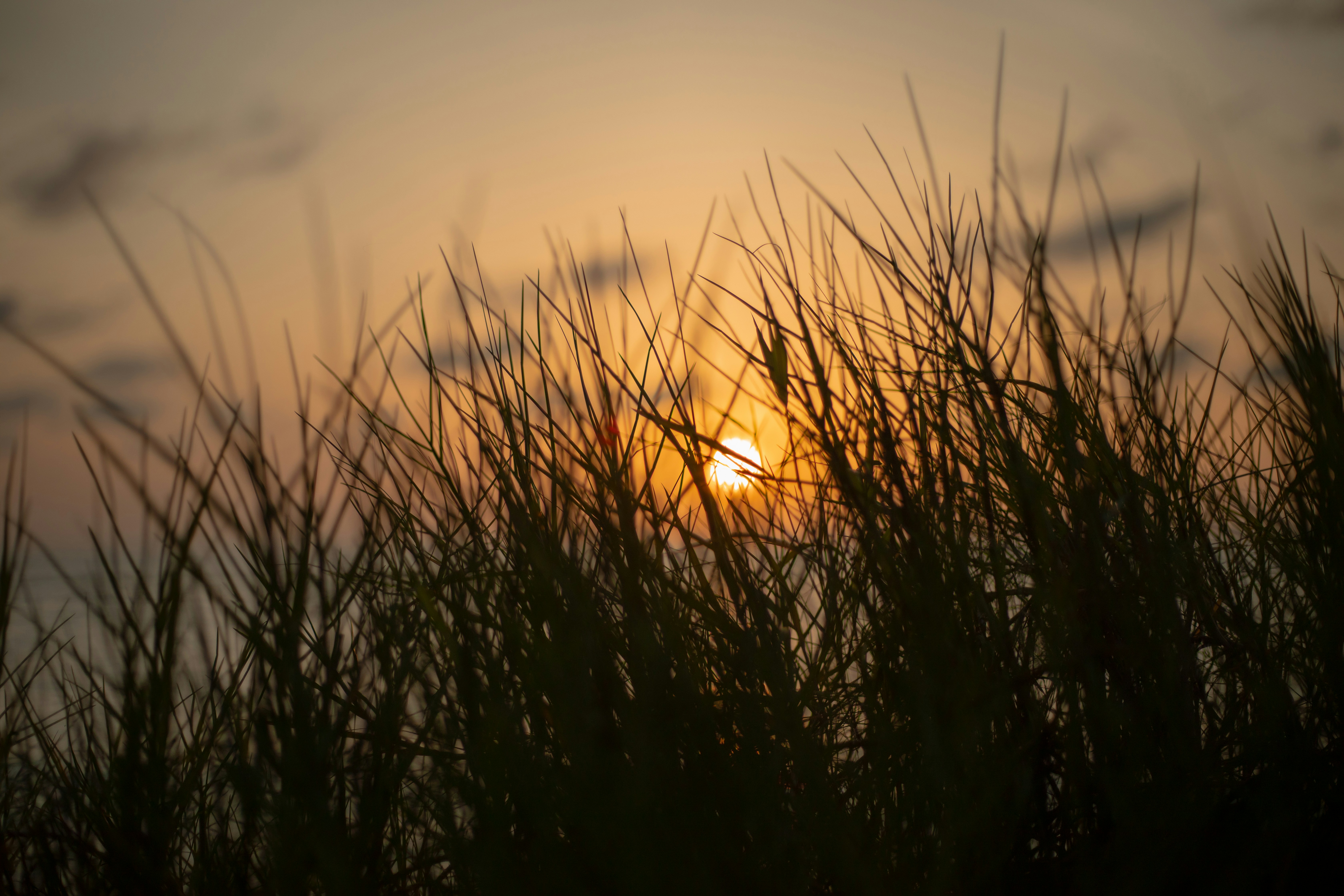 Photo by maahidphotos