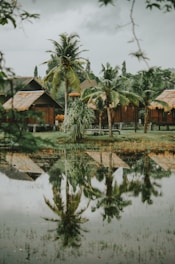 body of water with reflections of trees and hutches