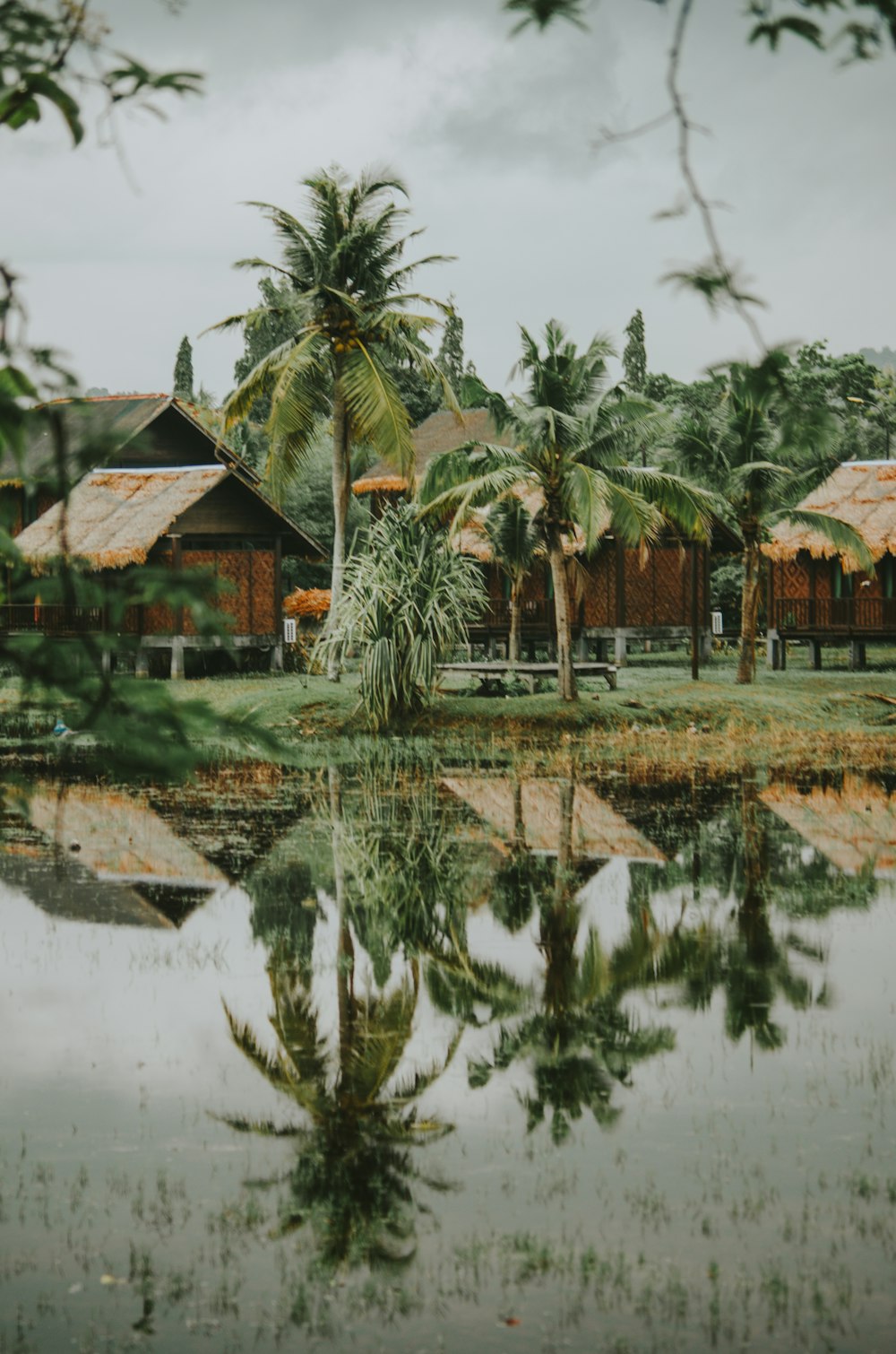 body of water with reflections of trees and hutches