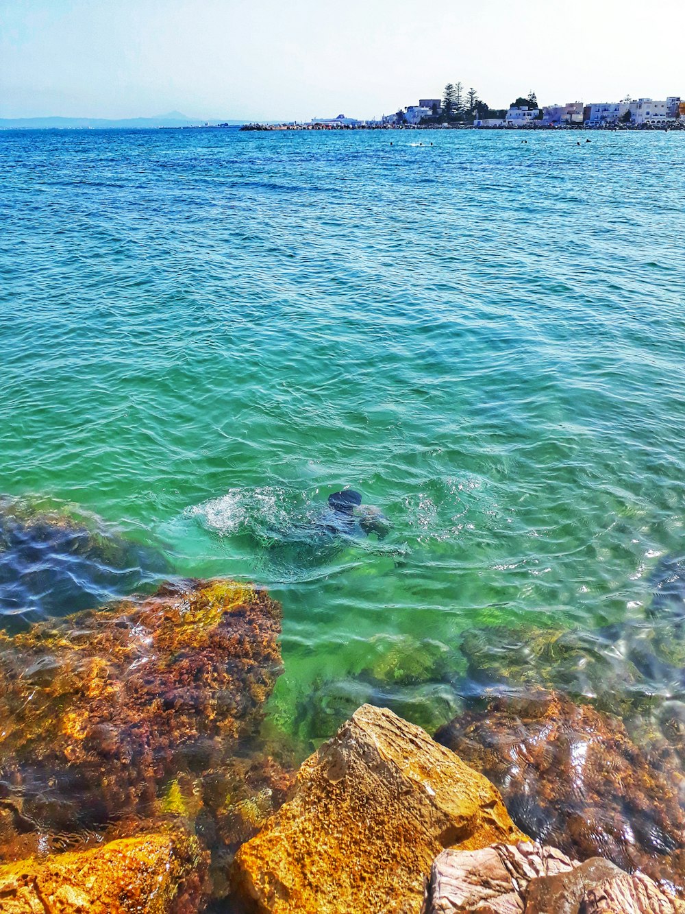 green sea during daytime