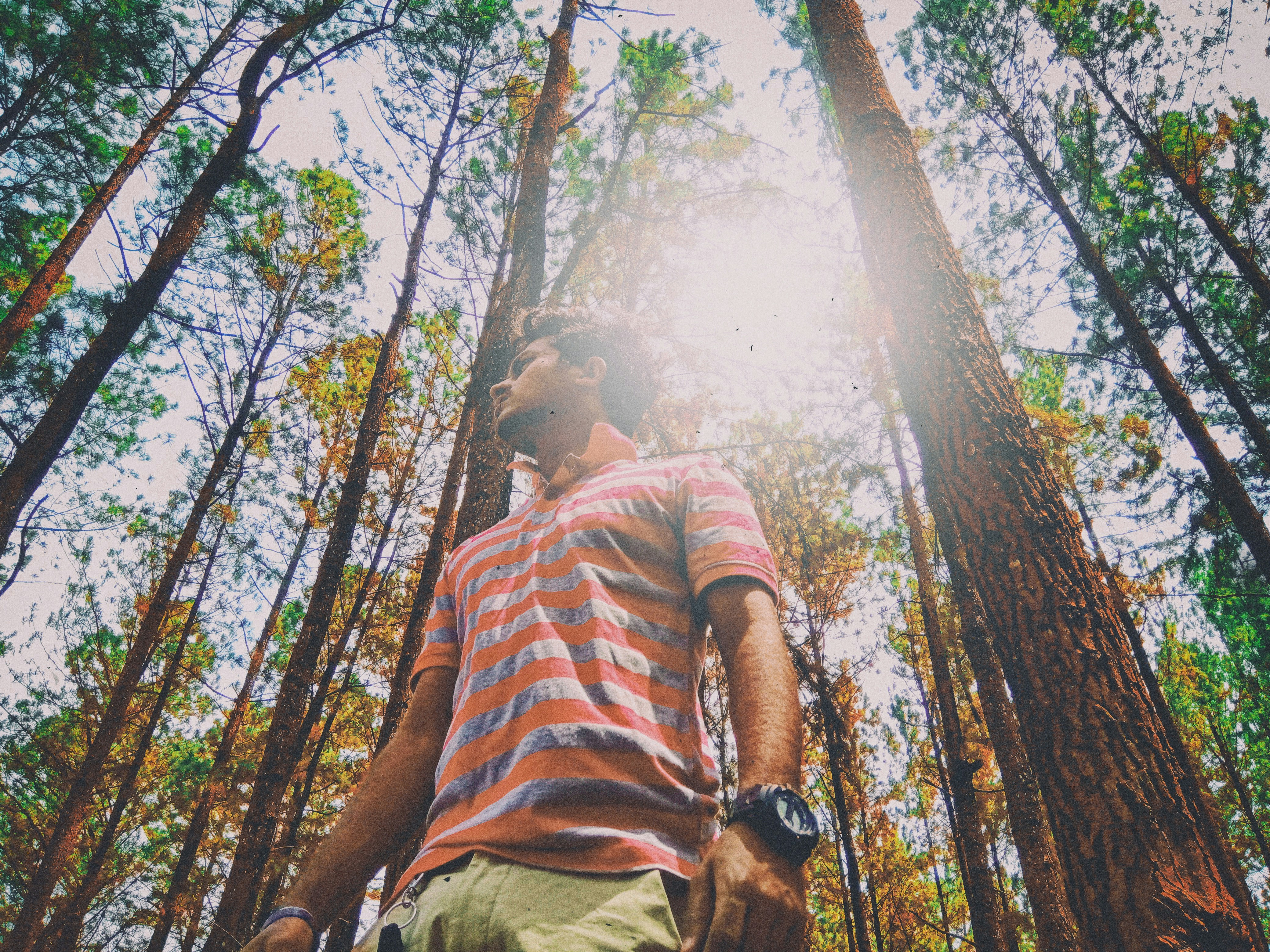 Rock N Rain Coin header image