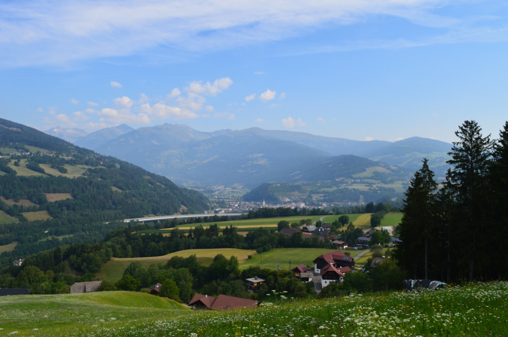 houses in green field viewing mountain under blue and white skies