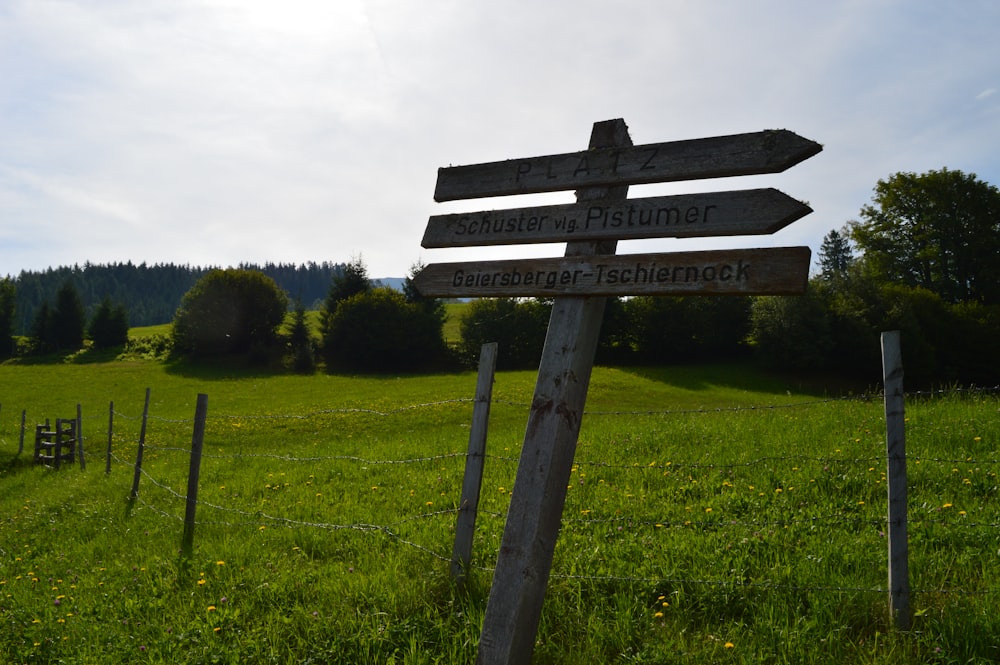 graues Holzschild auf grünem Gras