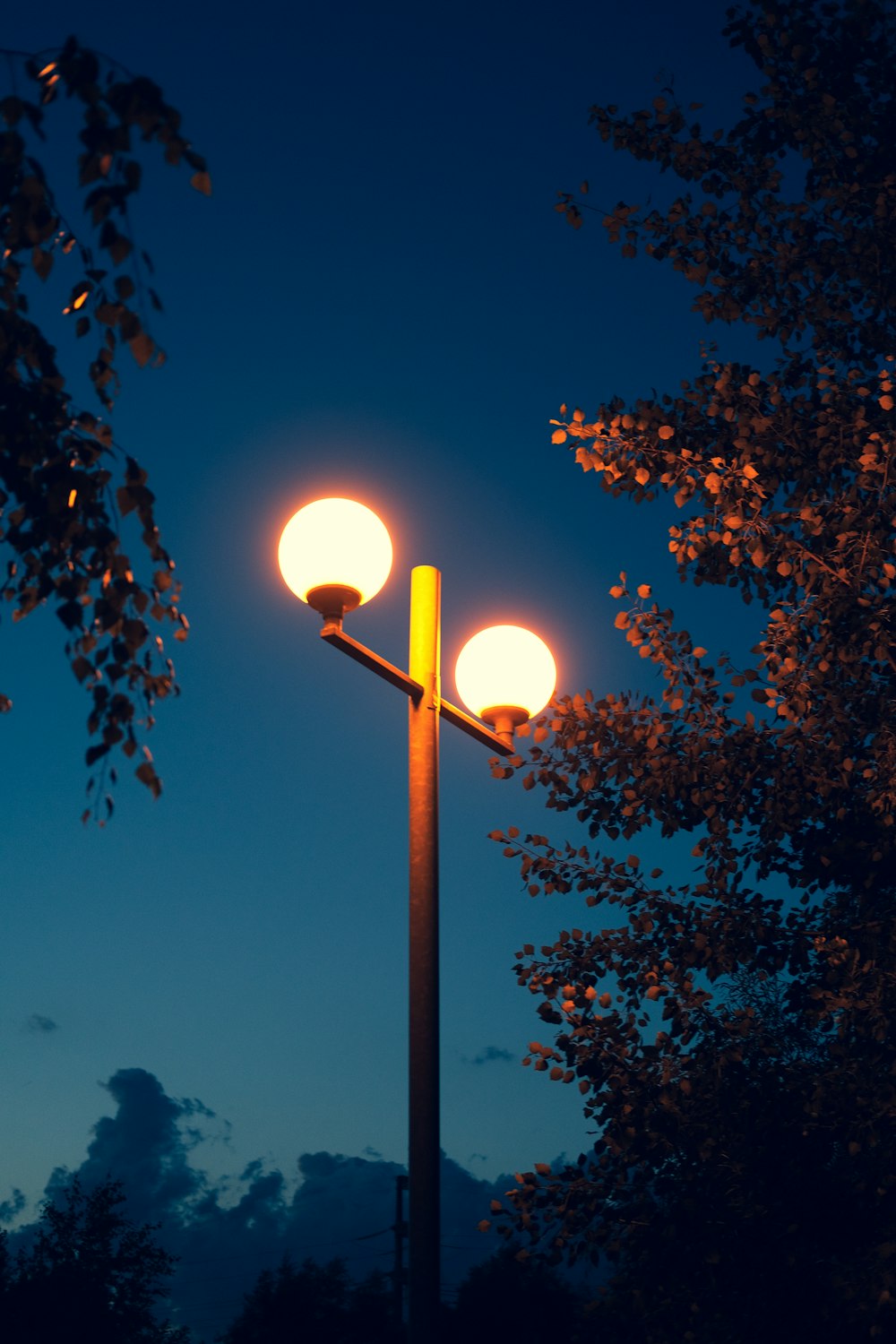 turned-on lamp post beside tree
