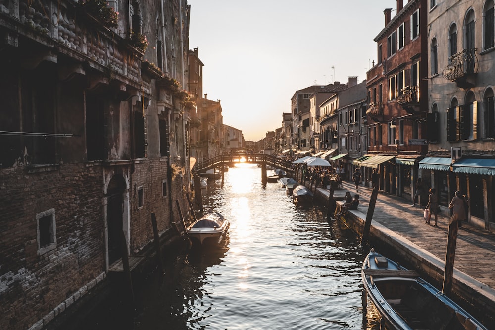 group of people walking on street beside canal