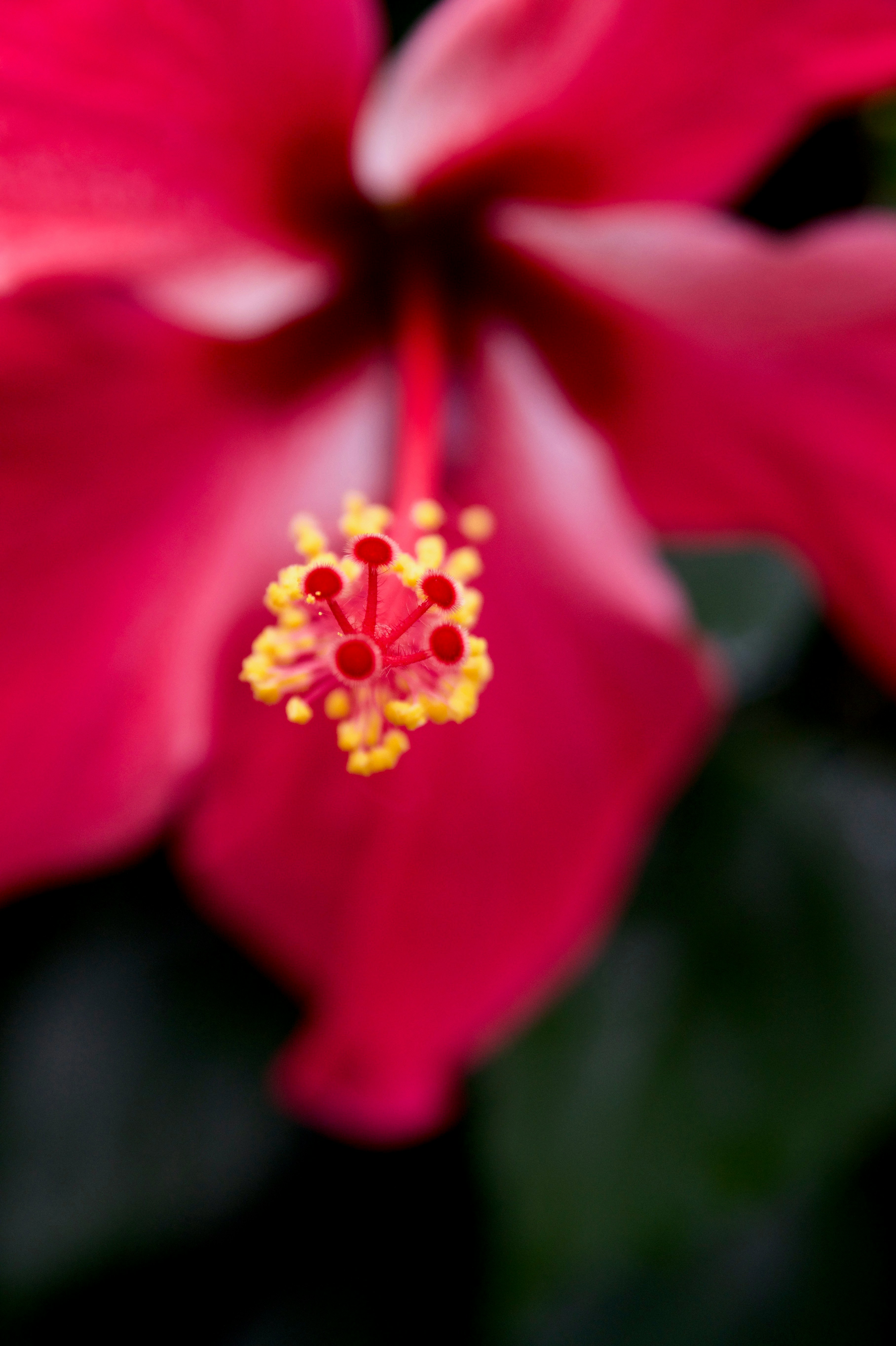 Photo by dadivafoodstyling