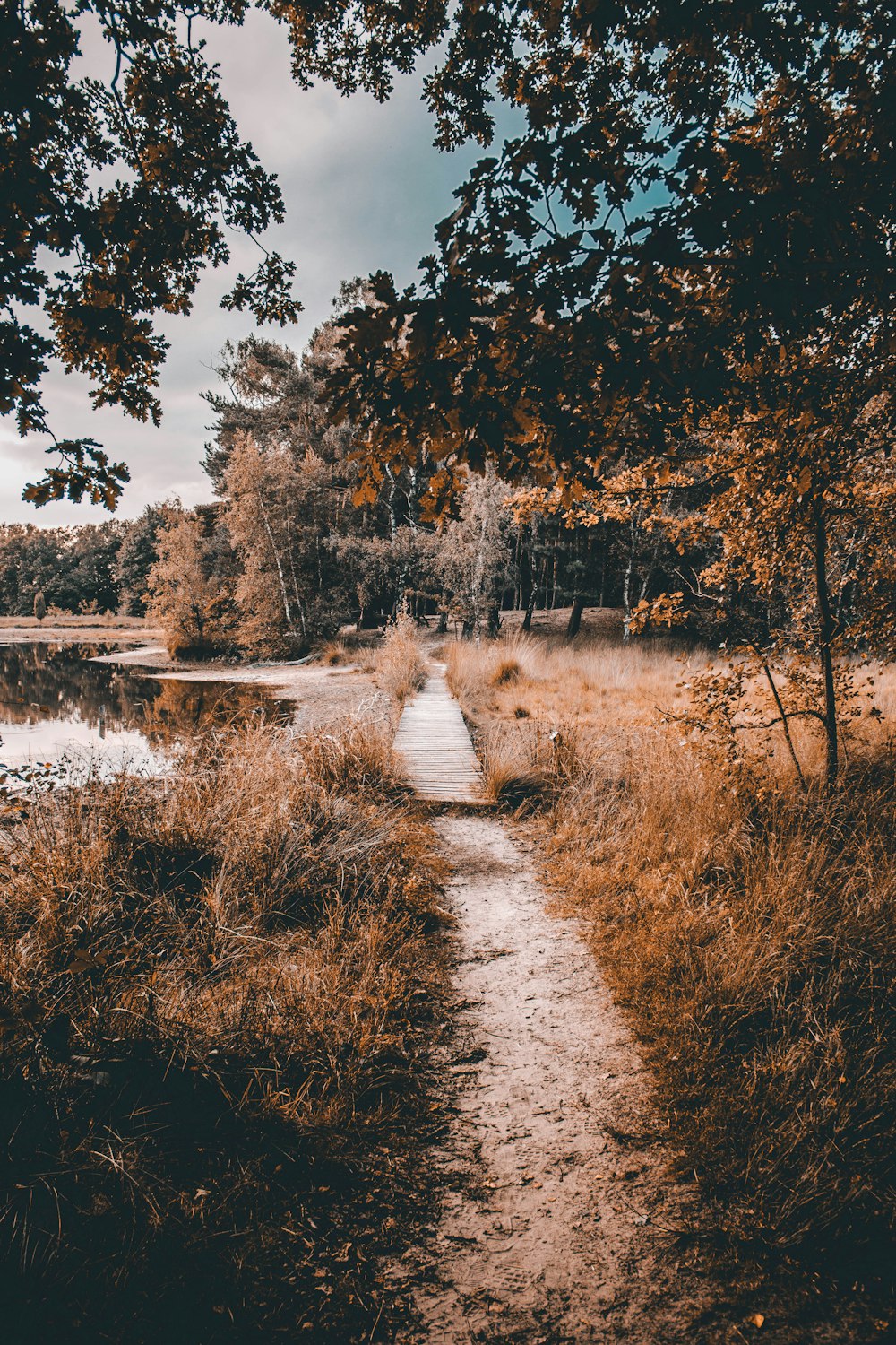 pathway beside body of water during daytime