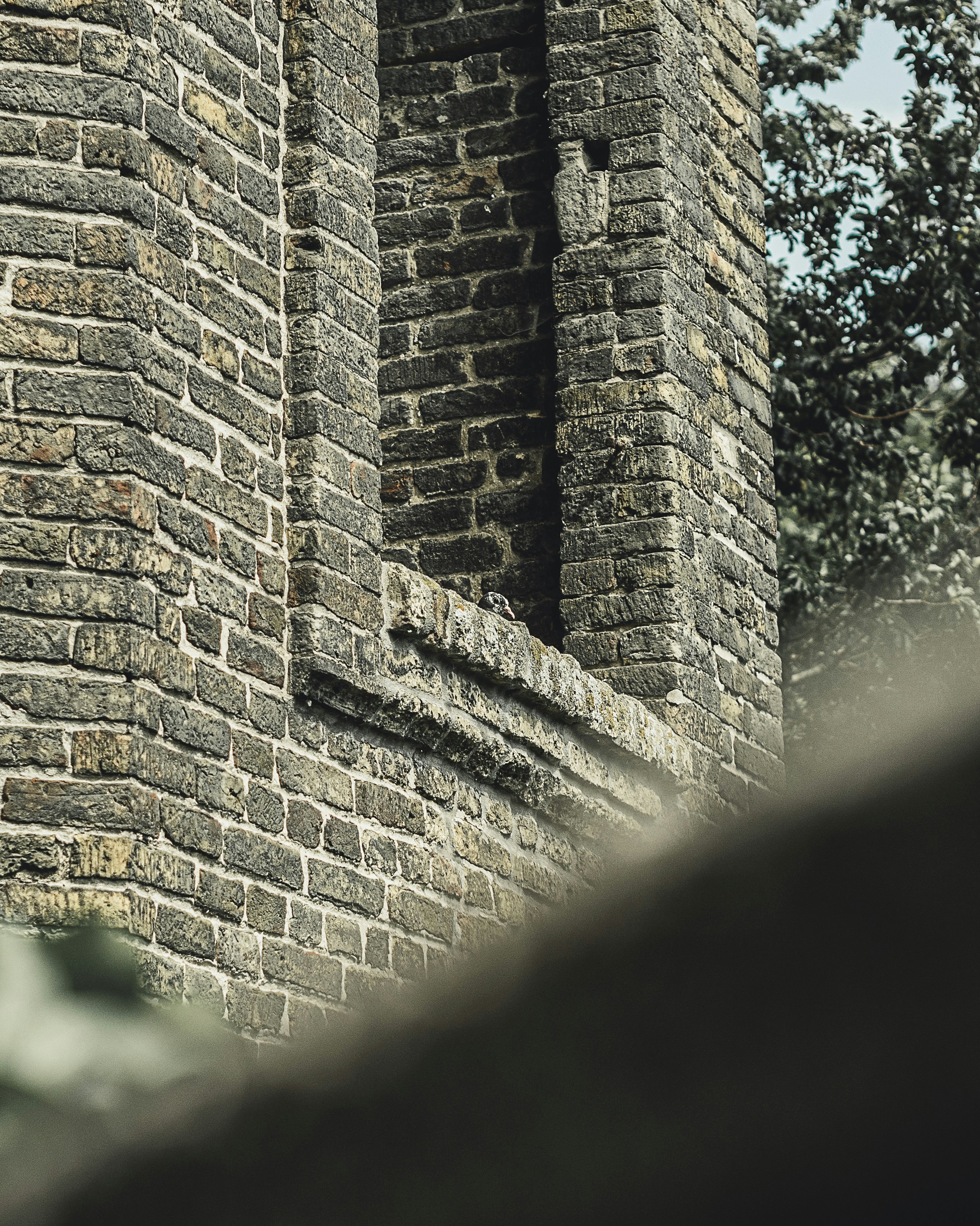 Photo by milandegraeve