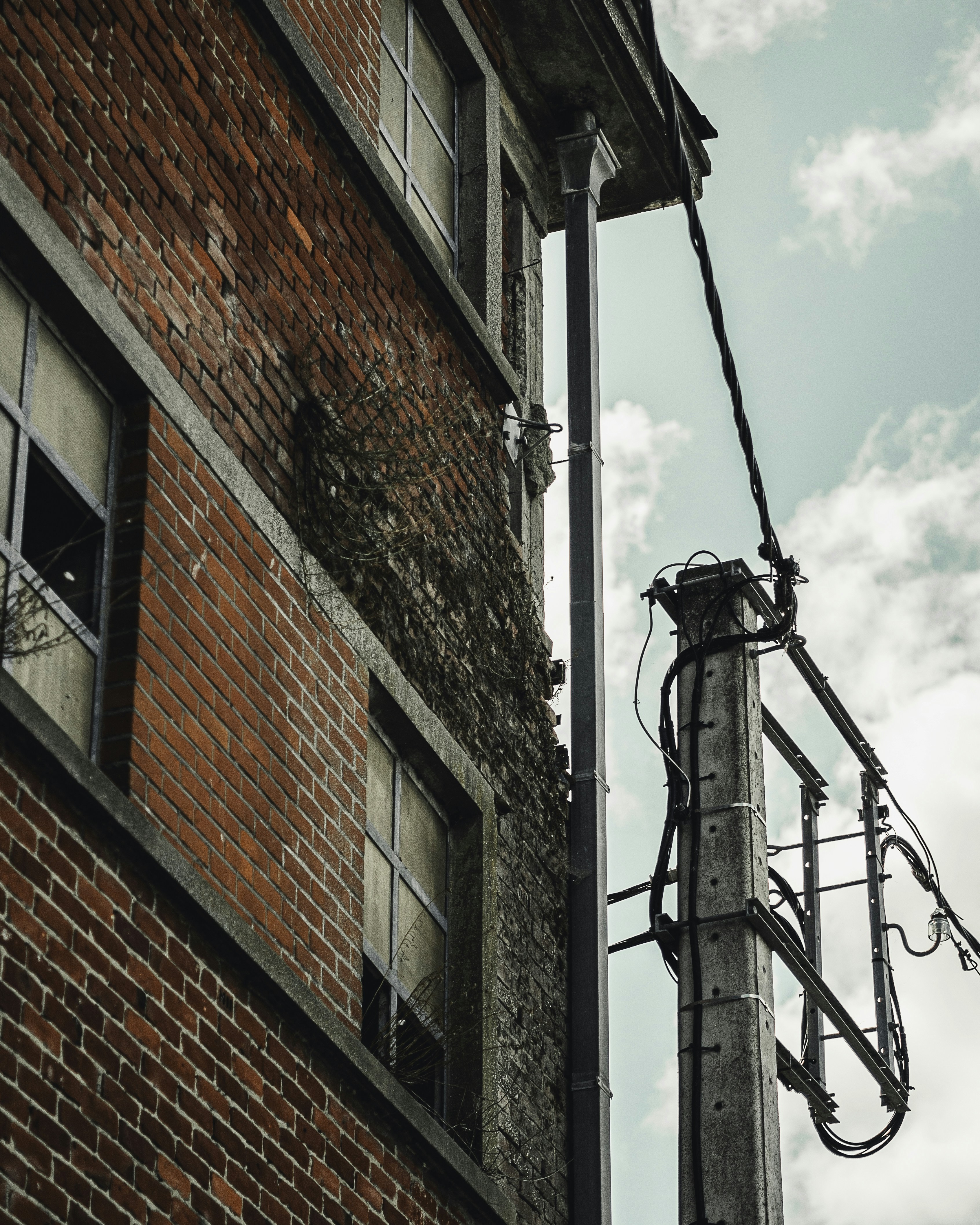 Photo by milandegraeve